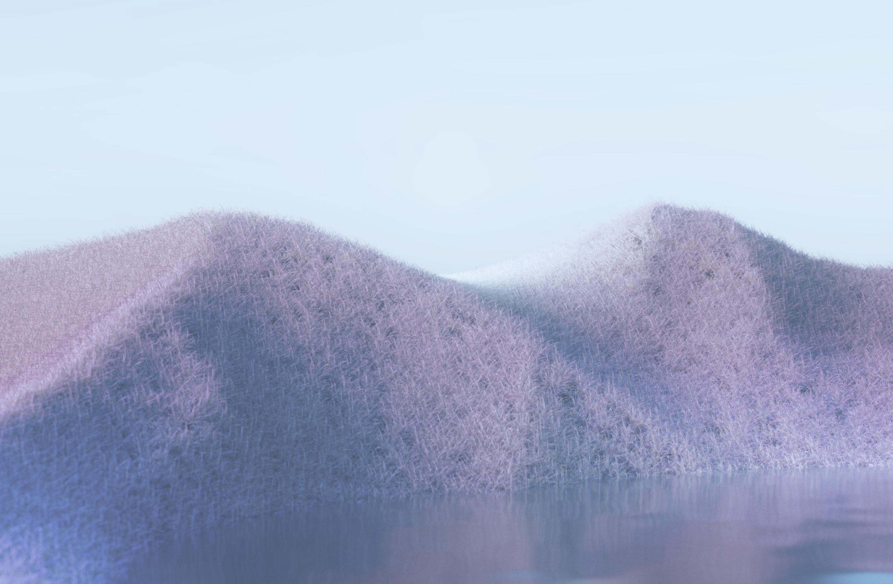 Section background